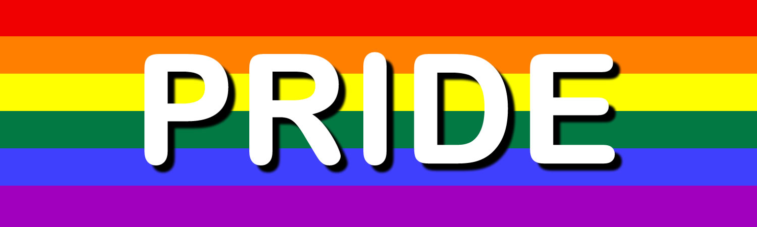 Pride Custom Vinyl Sticker, Window Cling or Magnet in UV Laminate Coating
