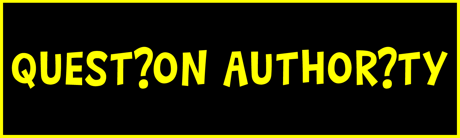 Question Authority Custom Vinyl Bumper Sticker, Window Cling or Magnet in UV Laminate Coating