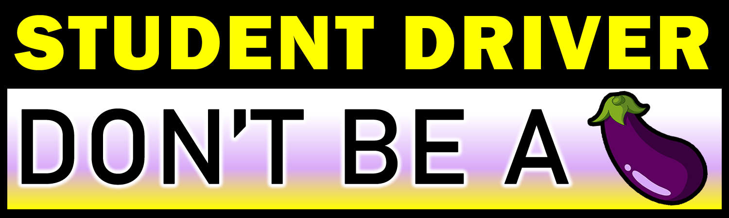 Student Driver Dont Be A Vinyl Bumper Sticker, Window Cling or Bumper Sticker Magnet in UV Laminate Coating