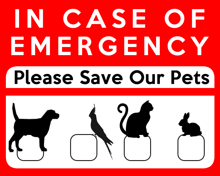 In Case Of Emergency Please Save Our Pets Vinyl Sticker, Window Cling or  Magnet in UV Laminate Coating