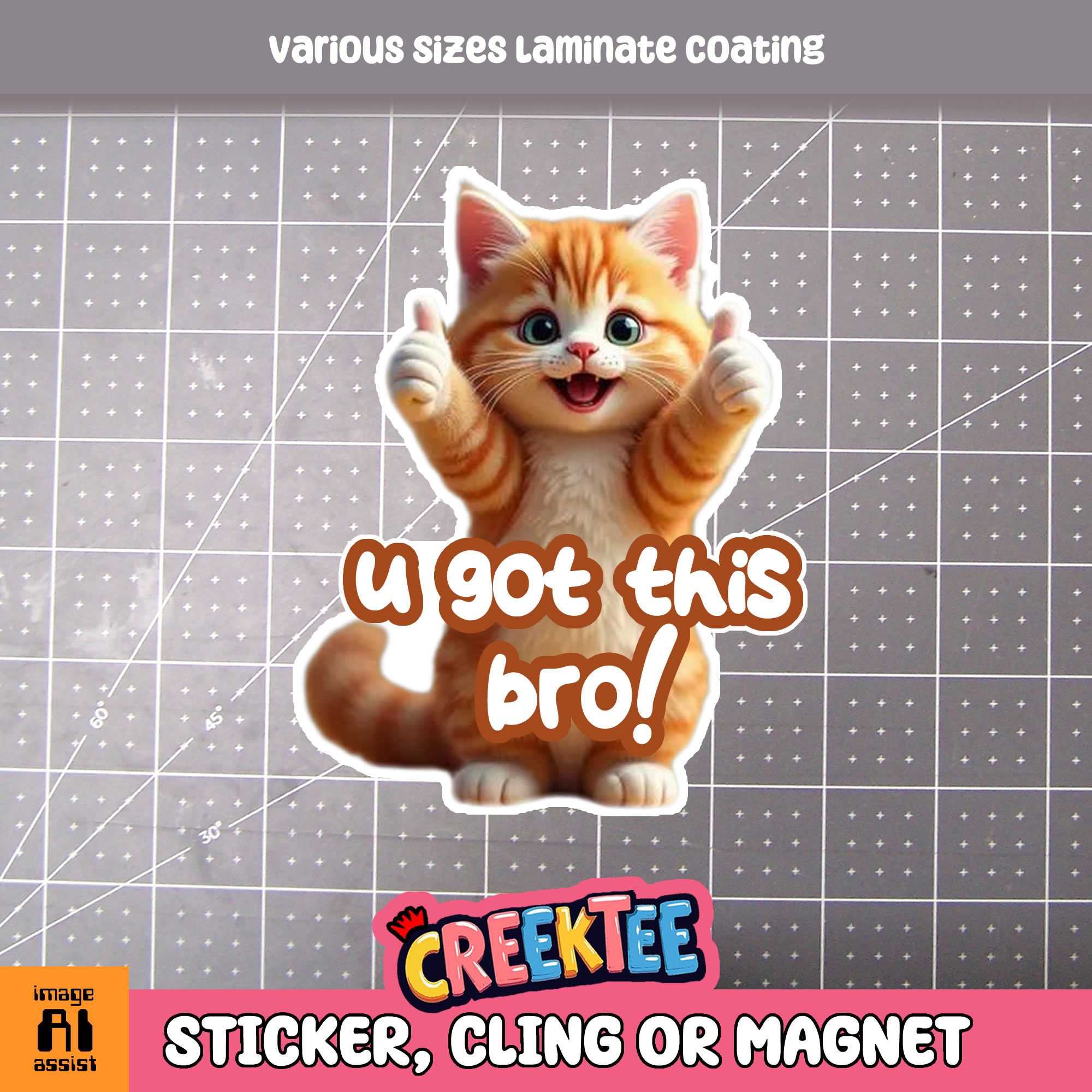 You Got This Bro Die Cut Vinyl Sticker  Window Cling or Magnet with Laminate Coating in Various Sizes