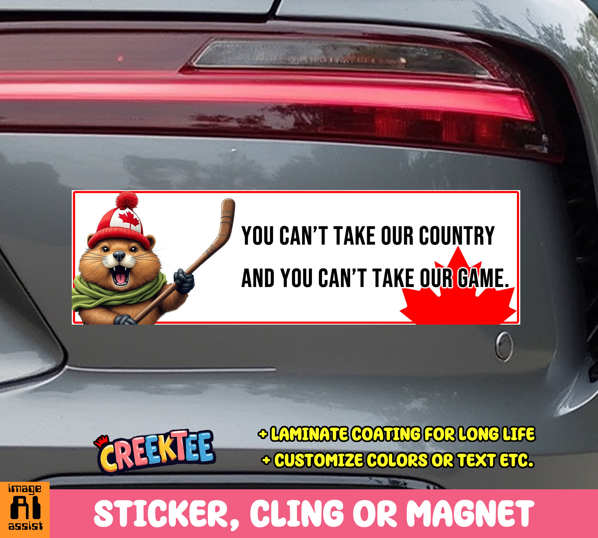 You Can t Take Our Country and You Can t Take Our Game Vinyl Bumper Sticker  Window Cling or Magnet in UV Laminate Coating and Various Sizes