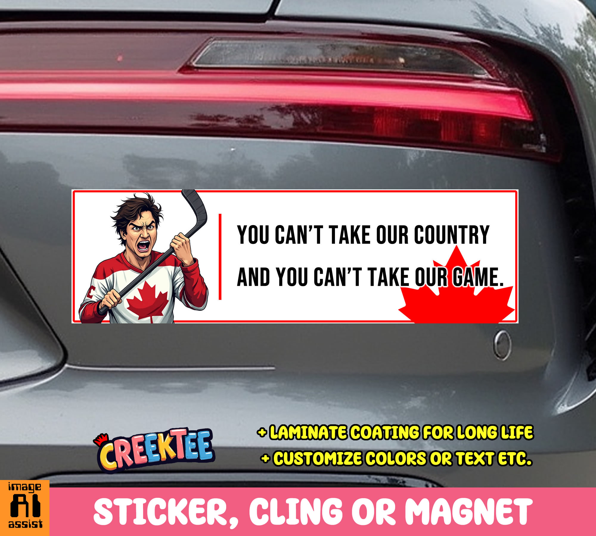 You Can t Take Our Country and You Can t Take Our Game Vinyl Bumper Sticker  Window Cling or Magnet in UV Laminate Coating and Various Sizes